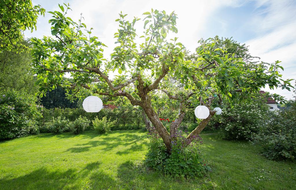 Вилла Tradgardshuset I Sankt Olof Экстерьер фото